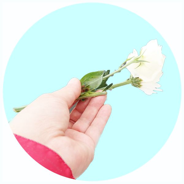 散骨葬TOP花